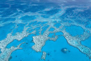 Great Barrier Reef