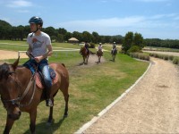 Moore Park Stables