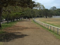 Moore Park Stables