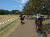 Moore Park Stables