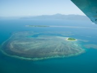 Exclusive Great Barrier Reef Tour to Hope Island from Bloomfield Lodge