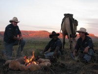 Newsletter - Kimberley Heritage Cattle Drive